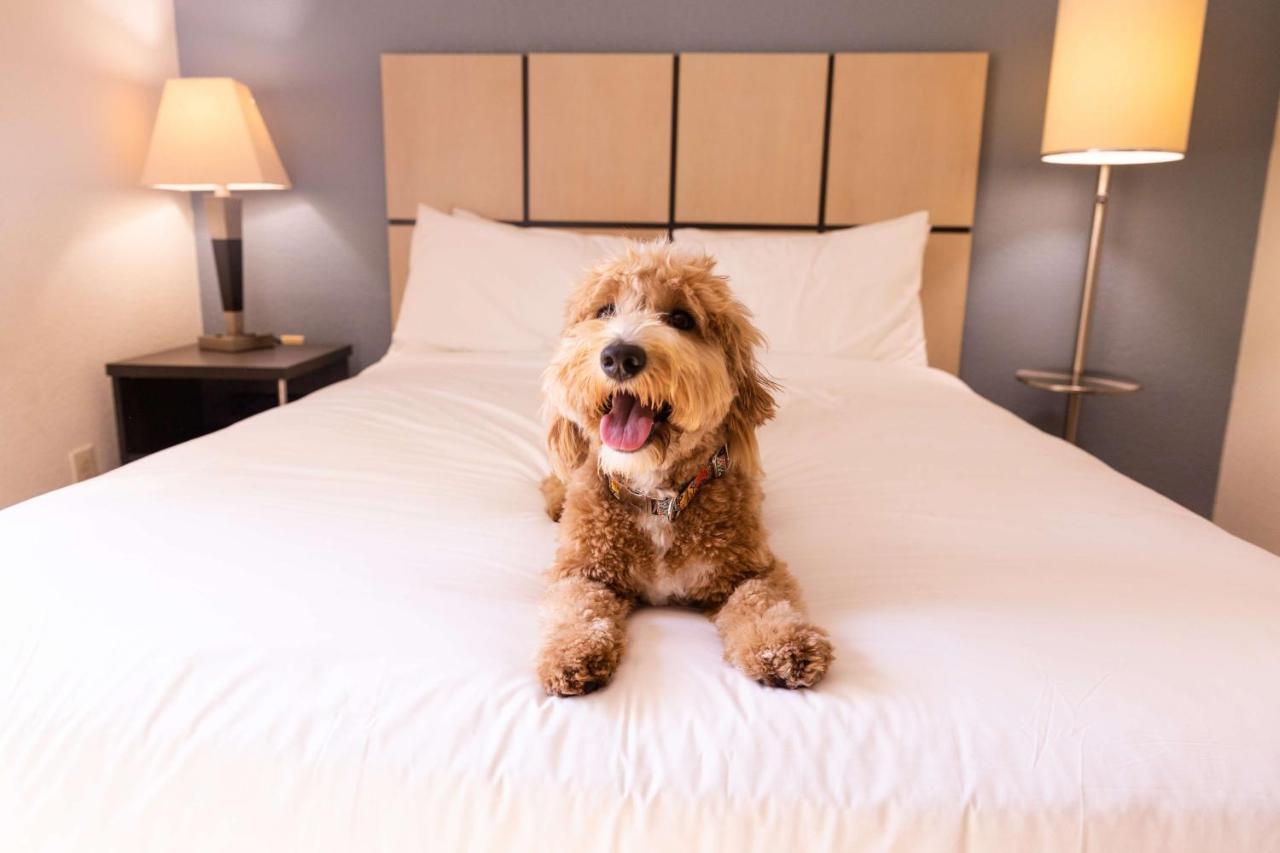 Sonesta Simply Suites Huntsville Research Park מראה חיצוני תמונה